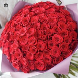 A large bouquet of 100 Red Roses wrapped in purple paper.