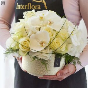 Sentence with replaced product name: A person holding a Deluxe Pot Arrangement of white orchids and roses in a decorative container with the interflora logo visible.