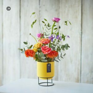 Vivid Yellow