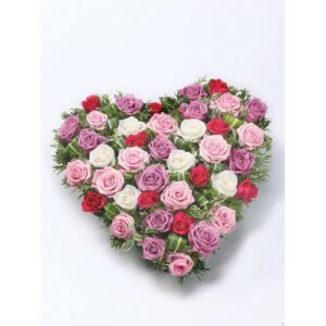 An assortment of red, pink roses, and white roses arranged in a Pink Rose Heart on a white background.