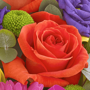 A close-up of a vibrant red rose, Environmentally Friendly Hand Tie Bouquet Florist Choice, surrounded by an assortment of colorful flowers and leaves.